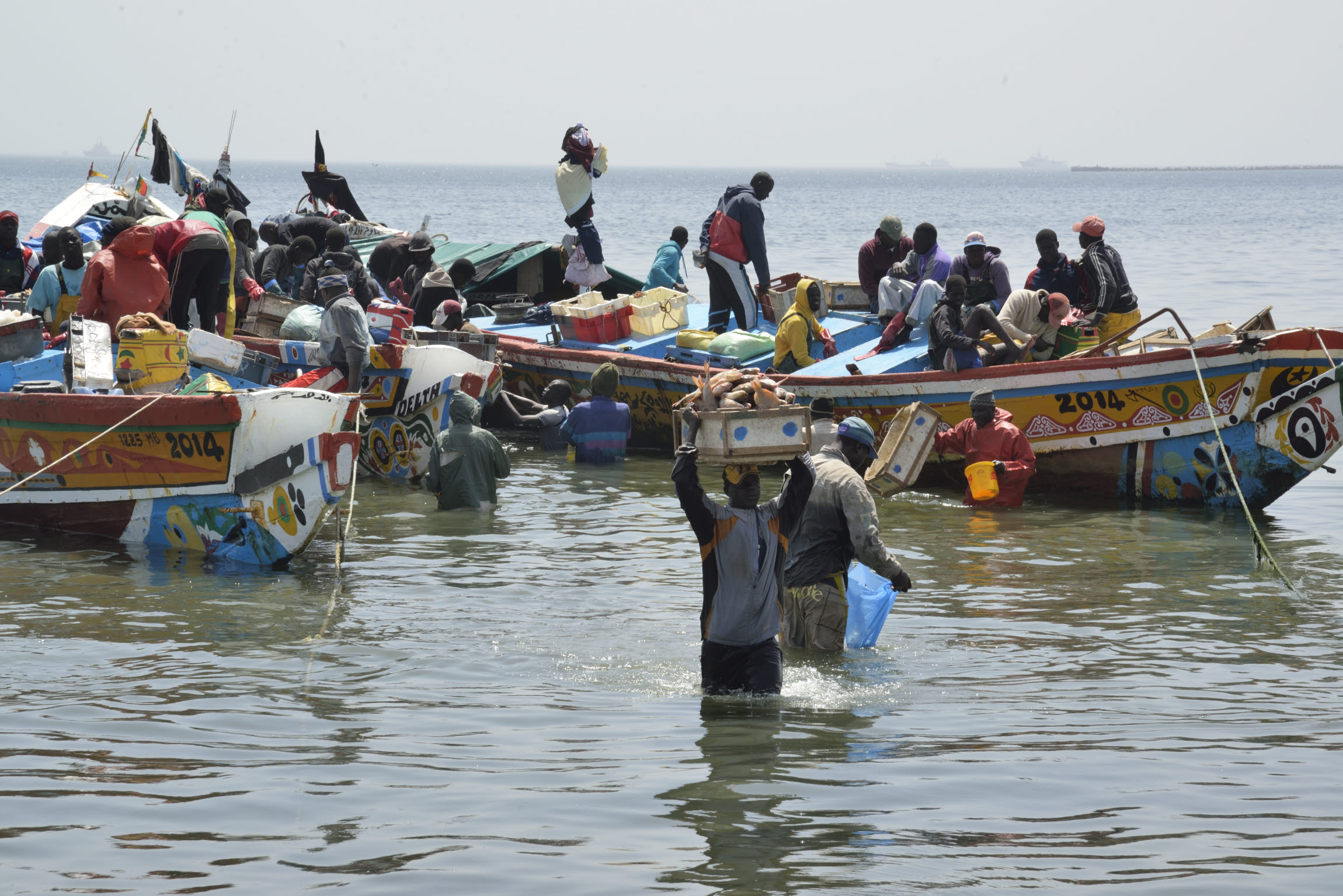 Vote de budget : Plus de 50 milliards pour les Pêches et l’Économie maritime en 2021