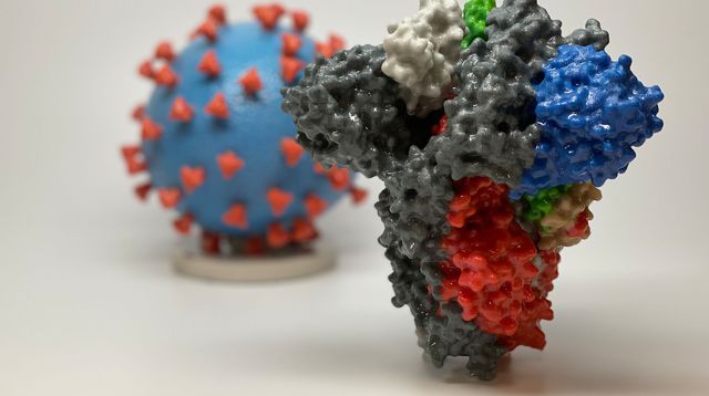 Covid-19 : la nouvelle souche qui touche l’Angleterre inquiète les épidémiologistes