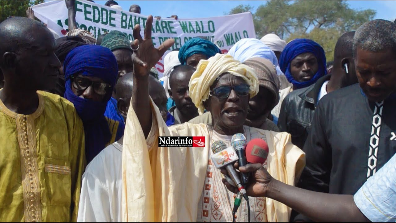 Ndiaél revendique ses 20.000 hectares attribués à des étrangers Ndiaél revendique ses 20.000 hectares attribués à des étrangers