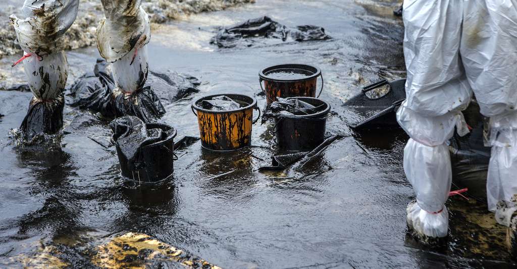 Exploitation pétrolière : un expert anticipe sur le danger des marées noires sur la biodiversité marine