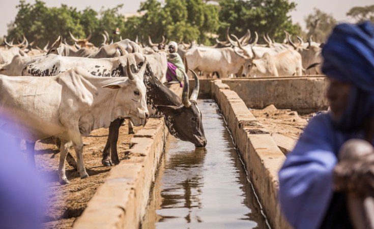 Lancement d’un programme visant la résilience des populations rurales