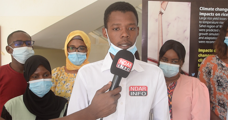 Saint-Louis : Une vingtaine de jeunes agripreneurs formés sur la gestion de la chaîne d’approvisionnement Saint-Louis : Une vingtaine de jeunes agripreneurs formés sur la gestion de la chaîne d’approvisionnement