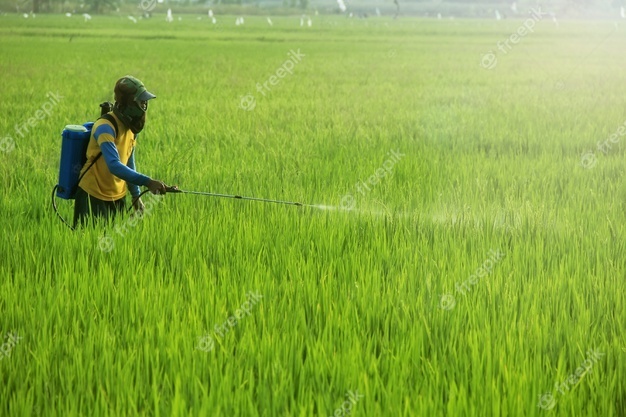 Agriculture : lutte contre les ravageurs au Sénégal et en Mauritanie