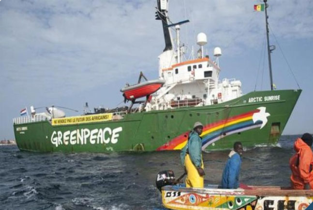 Pillage des eaux en Afrique de l'Ouest : Greenpeace intercepte un navire-citerne transportant de l'huile de poisson