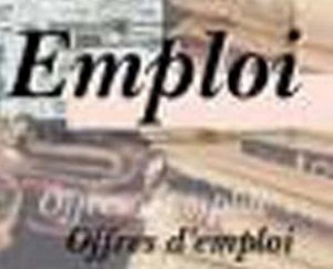 Un rapport fait état de 37.114 contrats de travail déclarés en 2012