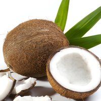 Les bienfaits de l'eau de coco Les bienfaits de l'eau de coco