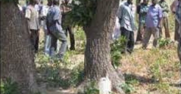 Séries de tueries à Tambacounda : Un commerçant et un malade mental sauvagement assassinés Séries de tueries à Tambacounda : Un commerçant et un malade mental sauvagement assassinés