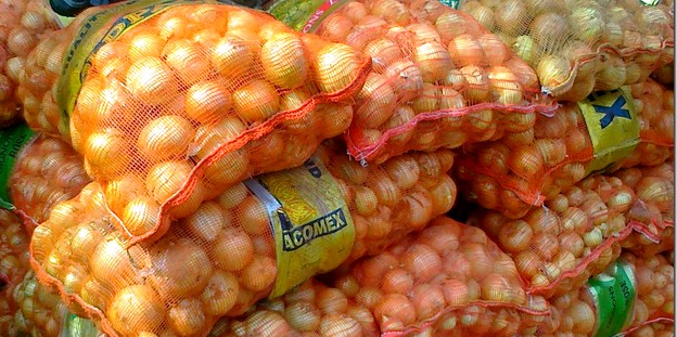 Gel des importations d'oignons : les producteurs de Matam félicitent le gouvernement.