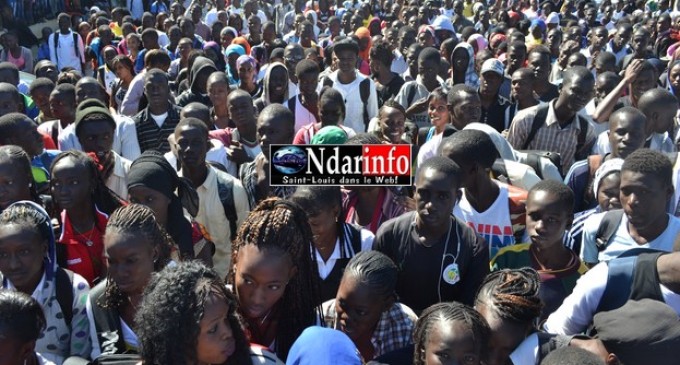 Manque de Profs au lycée de Ngallèle : très mécontents, les élèves bloquent la RN2.