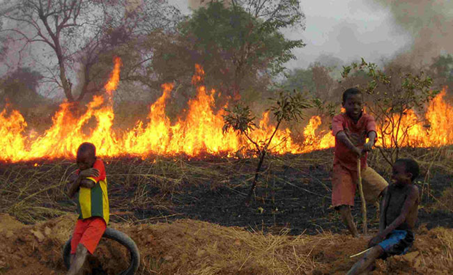 PODOR : Trois mort dont une femme et son enfant dans un feu de brousse à Doumnga-Lao