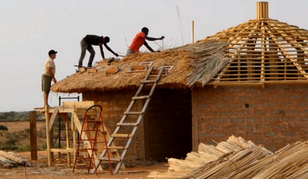 Saint-Louis: Les premiers chaumiers du SÉNÉGAL à utiliser le typha!