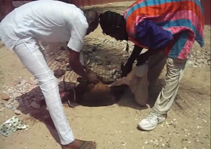 Saint-Louis - Biennale OFF : une scène jugée "occulte" sème la panique dans le quartier Sud. (Vidéo) Saint-Louis - Biennale OFF : une scène jugée "occulte" sème la panique dans le quartier Sud. (Vidéo)