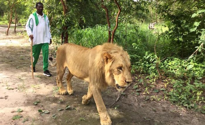 Mary Teuw NIANE adresse de " chaleureuses félicitations" à l’inter-coalition YEWWI WALLU Mary Teuw NIANE adresse de " chaleureuses félicitations" à l’inter-coalition YEWWI WALLU