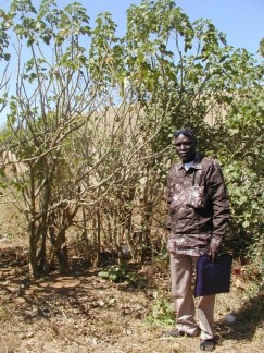 Premier lauréat des énergies renouvelables en Afrique : Cheikh Guèye, un inventeur écolo