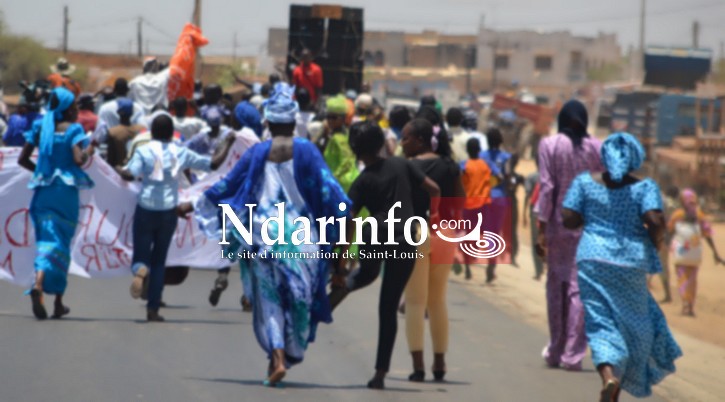 «   La campagne des citations… » (Par Louis Camara) «   La campagne des citations… » (Par Louis Camara)