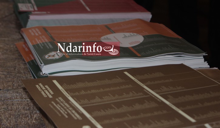 Tendances floues à Saint-Louis: le futur maire dans 'l'ombre". Tendances floues à Saint-Louis: le futur maire dans 'l'ombre".