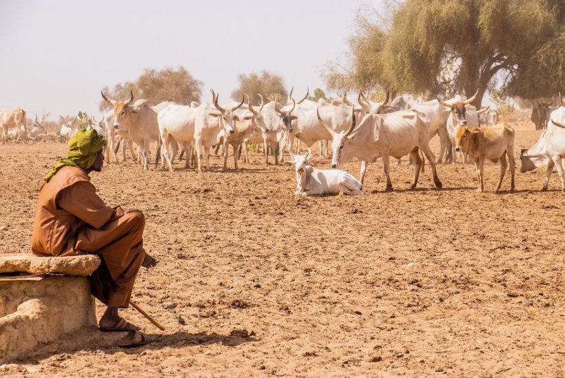 ​Village de Mboumba (Région du Fouta), frappé par la désertification et les sécheresses à répétition  (Crédit : © Sarah Frères, Imagine demain le monde 2022)