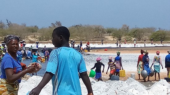 ​Le sel est une filière sous-exploitée au Sénégal