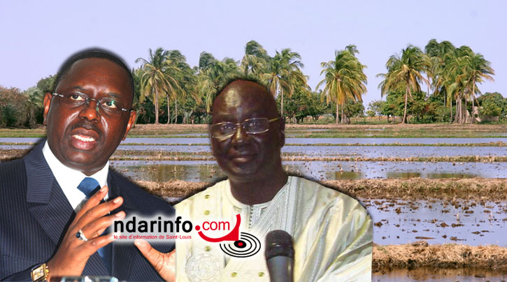 Attaques contre Macky SALL : Abdoulaye Dramé appelle les responsables de l'APR à s'ériger en bouclier (audio)