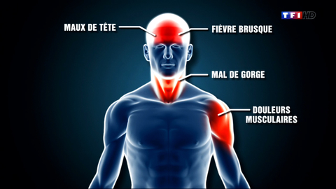Virus Ebola : Pourquoi occulter les questions qui fâchent ? Virus Ebola : Pourquoi occulter les questions qui fâchent ?