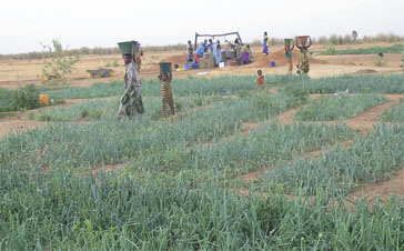 Le Pracas, un outil de valorisation des résultats de la recherche, selon le Dg de l’Isra Le Pracas, un outil de valorisation des résultats de la recherche, selon le Dg de l’Isra