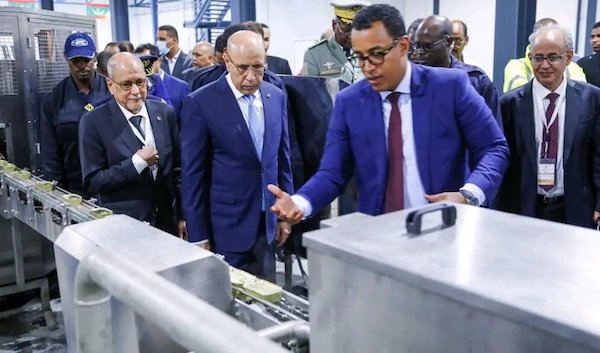 Nouvelle usine de sardines : La Mauritanie investit 15 millions de dollars Nouvelle usine de sardines : La Mauritanie investit 15 millions de dollars