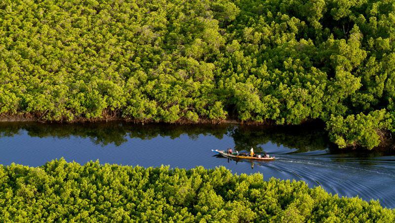 Des acteurs de l’environnement engagés pour la préservation des zones humides