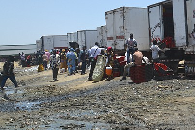 Des camions frigorifiques en attente de l’atterrissage des sardinelles à Guet Ndar