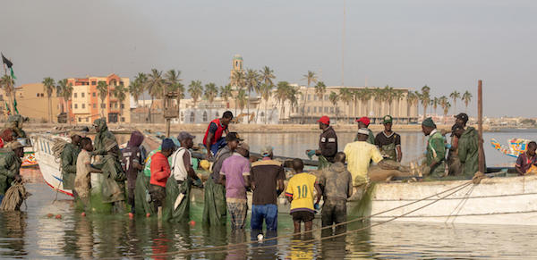 Affrontements à Kayar : leurs proches ciblés, les pêcheurs de Guet-Ndar entrent dans une colère noire.
