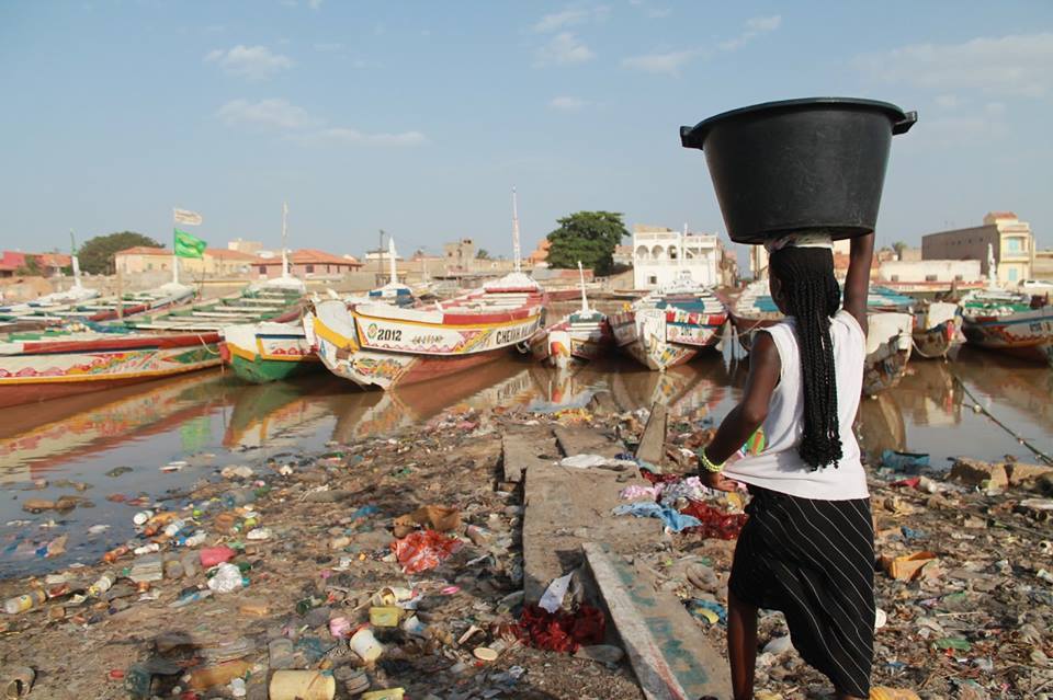 OPINION: Le Sénégal a existé avant la « Francofolie » et elle demeurera après  la « Cacophonie ». Par Mouhamed Faouzou DEME