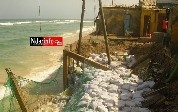 Sénégal : Saint-Louis en voie de disparition : L’avancée de la mer menace d’engloutir la ville!