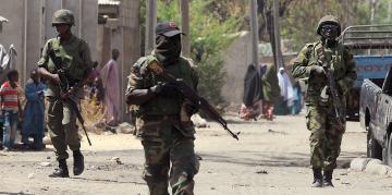 Nigeria: Boko Haram s'empare d'une base militaire sur les rives du lac Tchad