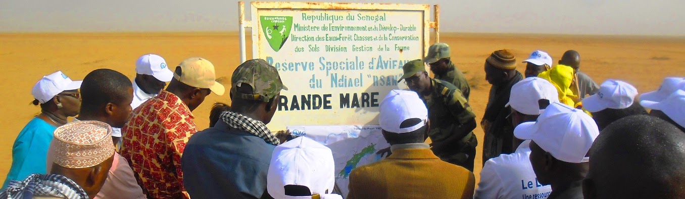 (Vidéo) - TOURNEE DU RESEAU PARLEMENTAIRE DE L'ENVIRONNEMENT A SAINT-LOUIS: les brèches, la réserve de Njael et le parc de Djoudj au menu