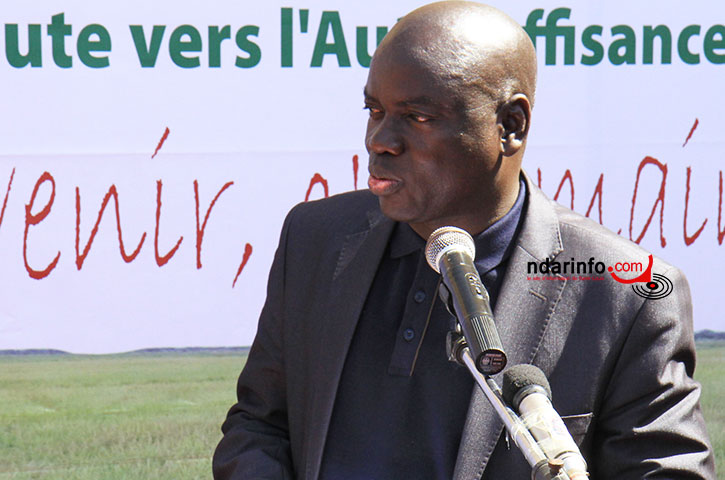 RELANCE DE L’AGRICULTURE : Samba KANTE réaffirme l’engagement de la SAED.