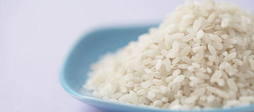 SAINT-LOUIS: La BNDE va financer l'achat de 8000 t de riz.