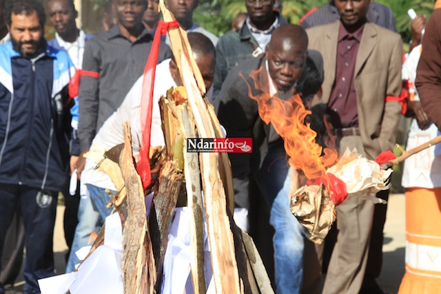 SAINT-LOUIS: le SAES « brûle » la loi sur les Universités et déclare la guerre contre Mary Teuw NIANE. 