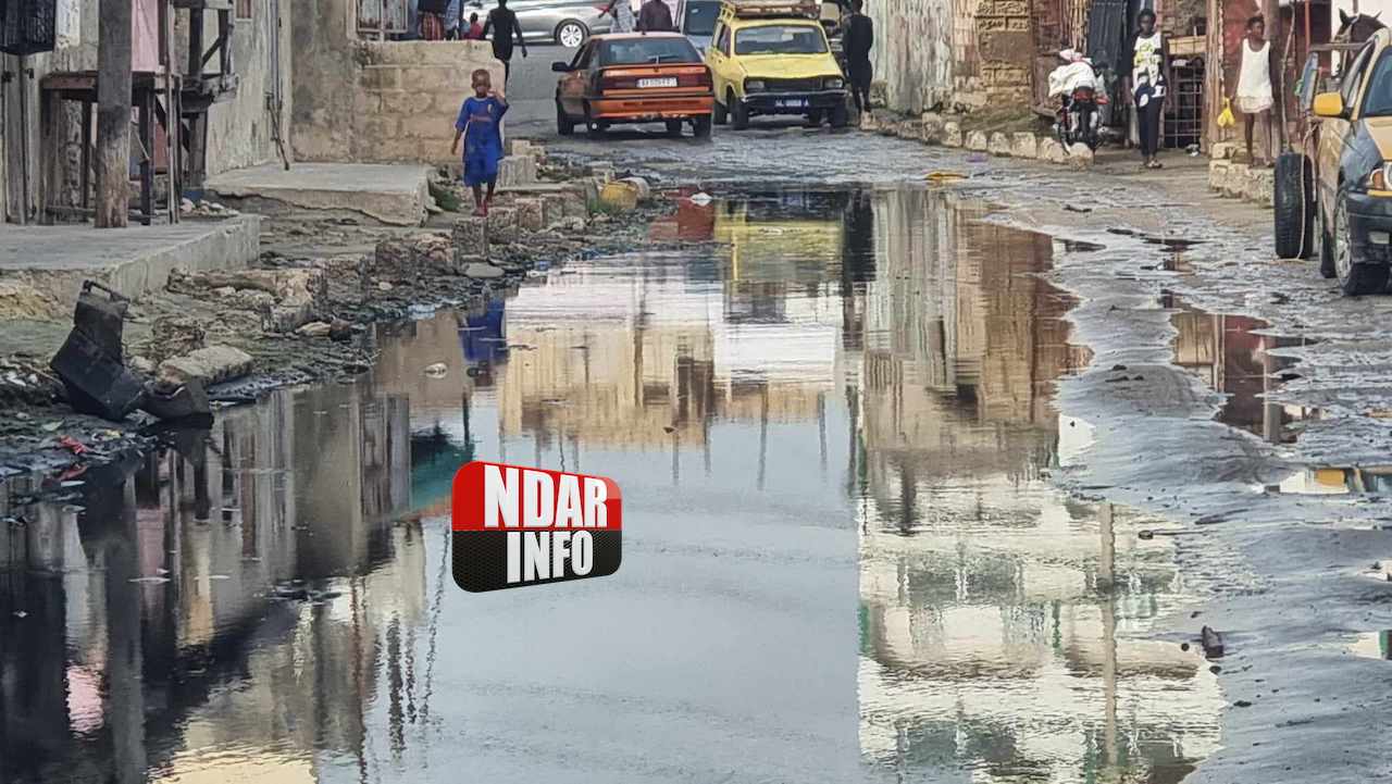 ​Refoulement d’égouts : scènes catastrophiques à Pikine (photos)