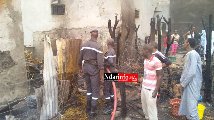 SAINT-LOUIS - GRAVE INCENDIE À BANGO: du bétail calciné (photos)