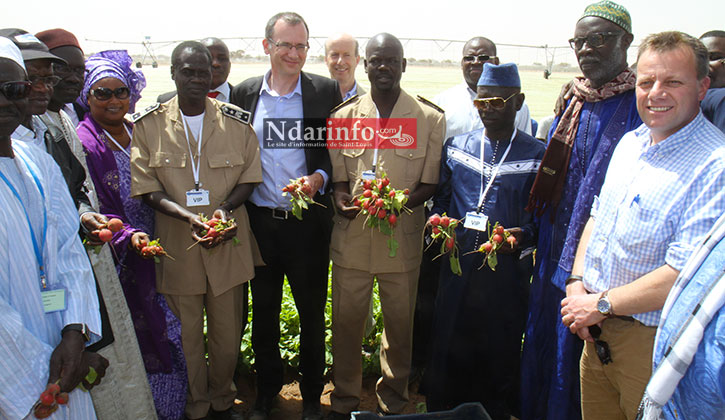 ATTEINTE DES OBJECTIFS DU PSE : West Africa Farms, à pied d’œuvre (vidéo&Photos).