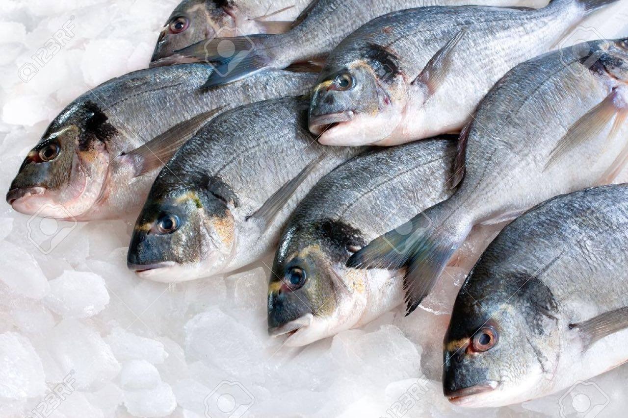 La Mauritanie, pays aux côtes parmi les plus poissonneuses, frappée par une pénurie de poisson