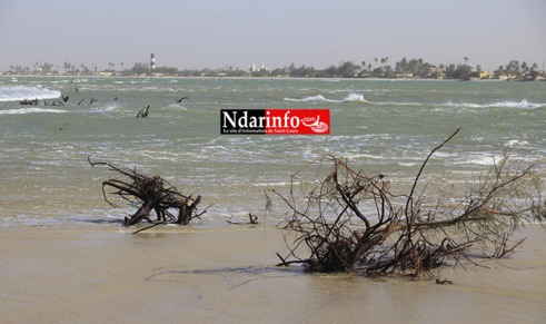 Le Sénégal et la montée des eaux : une erreur humaine accentuée par les changements climatiques