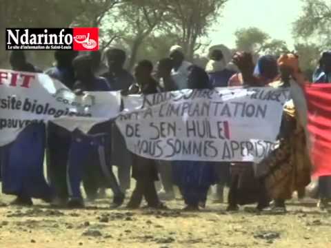 GROGNE CONTRE SENHUILE: Après des éléveurs, des employés marchent (audio)