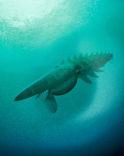 Découverte d'un monstre marin vieux de 480 millions d'années