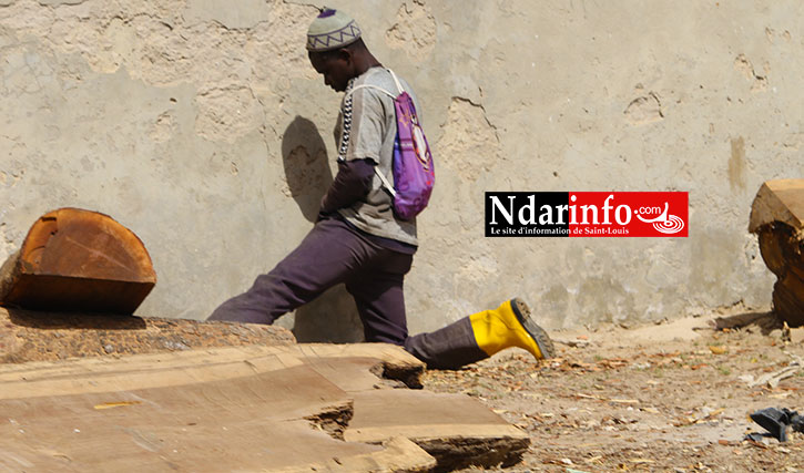 Ce dimanche 12 avril 2015 à 10h32 mn, un homme pisse sur le mur de Thiaka NDIAYE Ce dimanche 12 avril 2015 à 10h32 mn, un homme pisse sur le mur de Thiaka NDIAYE