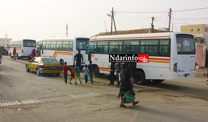 Enfin, les bus roulent.