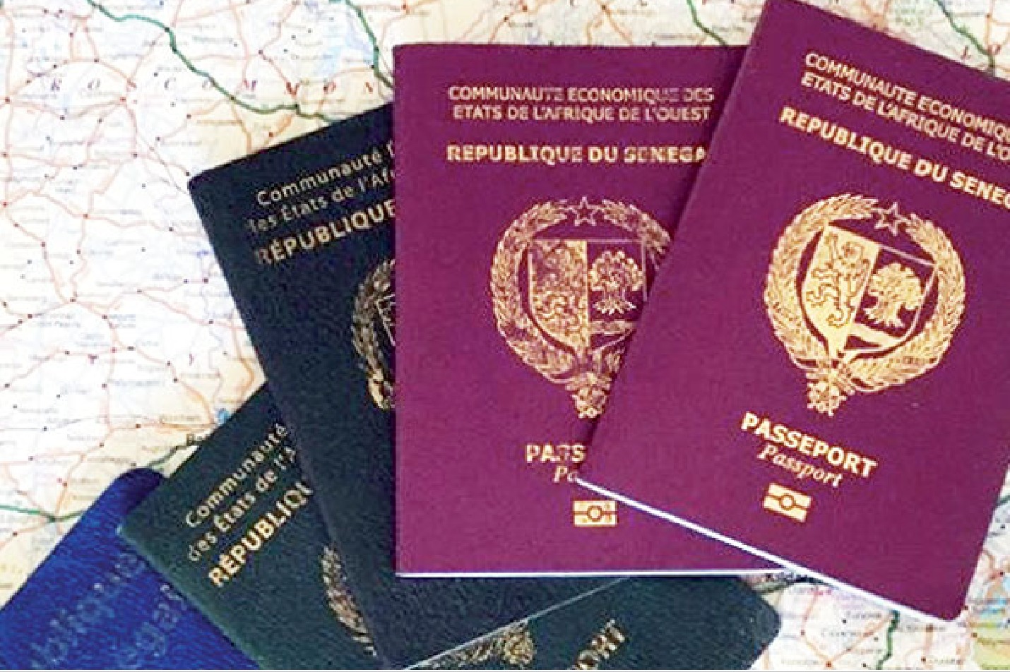 ESPAGNE : Alerte sur la situation précaire des Sénégalais en quête de passeport au consulat général du Sénégal à Madrid.