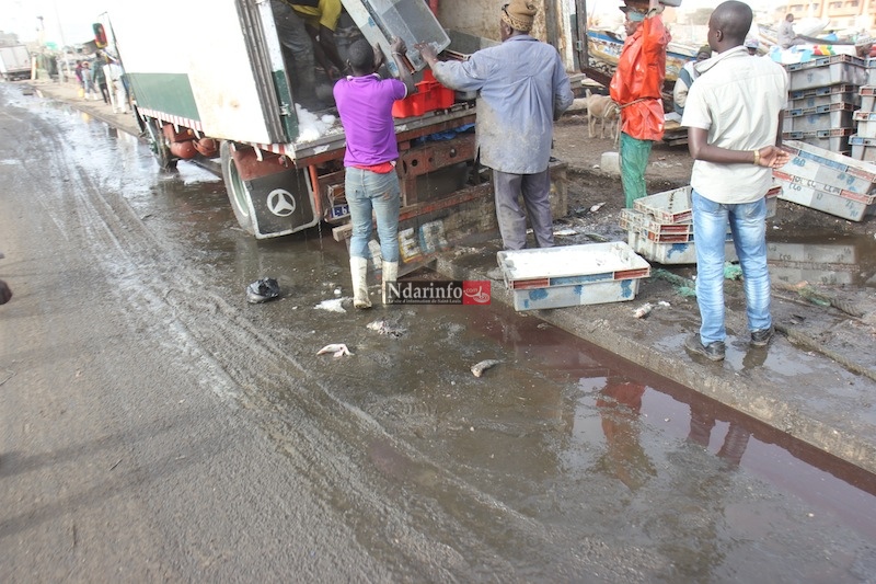 MASSACRE DU TOURISME SAINT-LOUISIEN : une terrible catastrophe à l’entrée de l’hydrobase. Regardez ! MASSACRE DU TOURISME SAINT-LOUISIEN : une terrible catastrophe à l’entrée de l’hydrobase. Regardez !