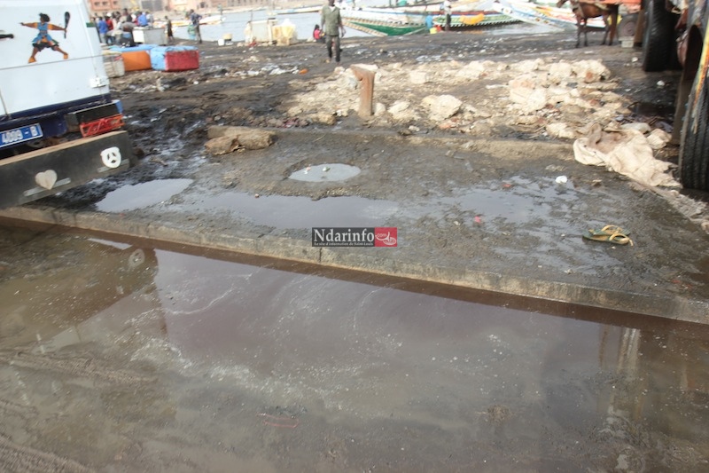 MASSACRE DU TOURISME SAINT-LOUISIEN : une terrible catastrophe à l’entrée de l’hydrobase. Regardez ! MASSACRE DU TOURISME SAINT-LOUISIEN : une terrible catastrophe à l’entrée de l’hydrobase. Regardez !