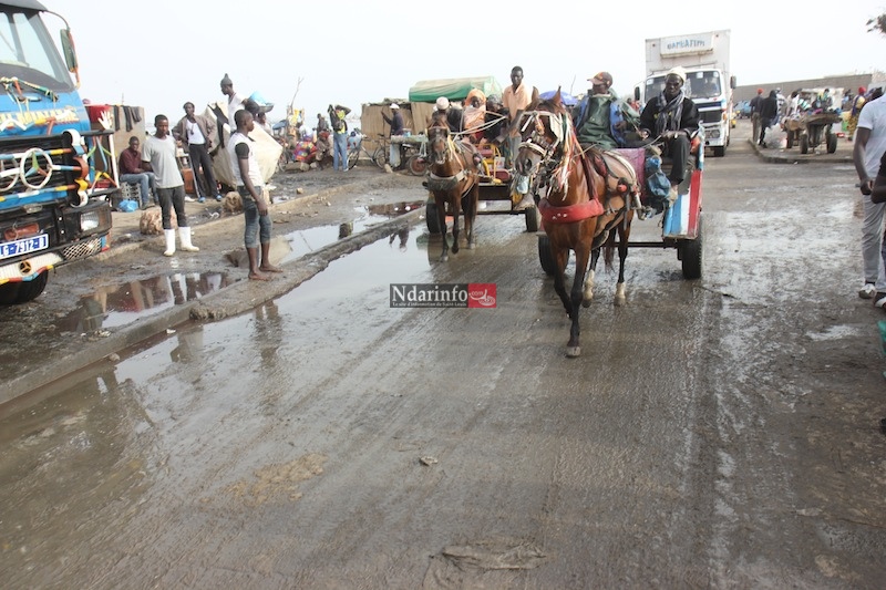 MASSACRE DU TOURISME SAINT-LOUISIEN : une terrible catastrophe à l’entrée de l’hydrobase. Regardez ! MASSACRE DU TOURISME SAINT-LOUISIEN : une terrible catastrophe à l’entrée de l’hydrobase. Regardez !