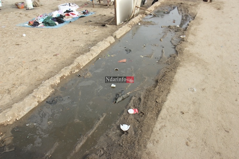 MASSACRE DU TOURISME SAINT-LOUISIEN : une terrible catastrophe à l’entrée de l’hydrobase. Regardez !